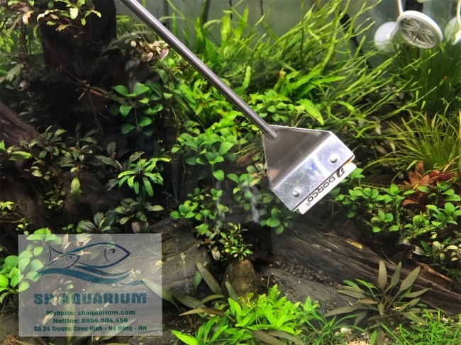 Dao cạo rêu inox Lan 70cm
