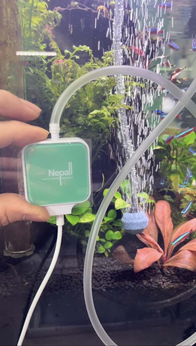 Máy Sủi Siêu Êm Nepal – Giải Pháp Oxy Mini Hoàn Hảo Cho Mọi Bể Cá Cảnh