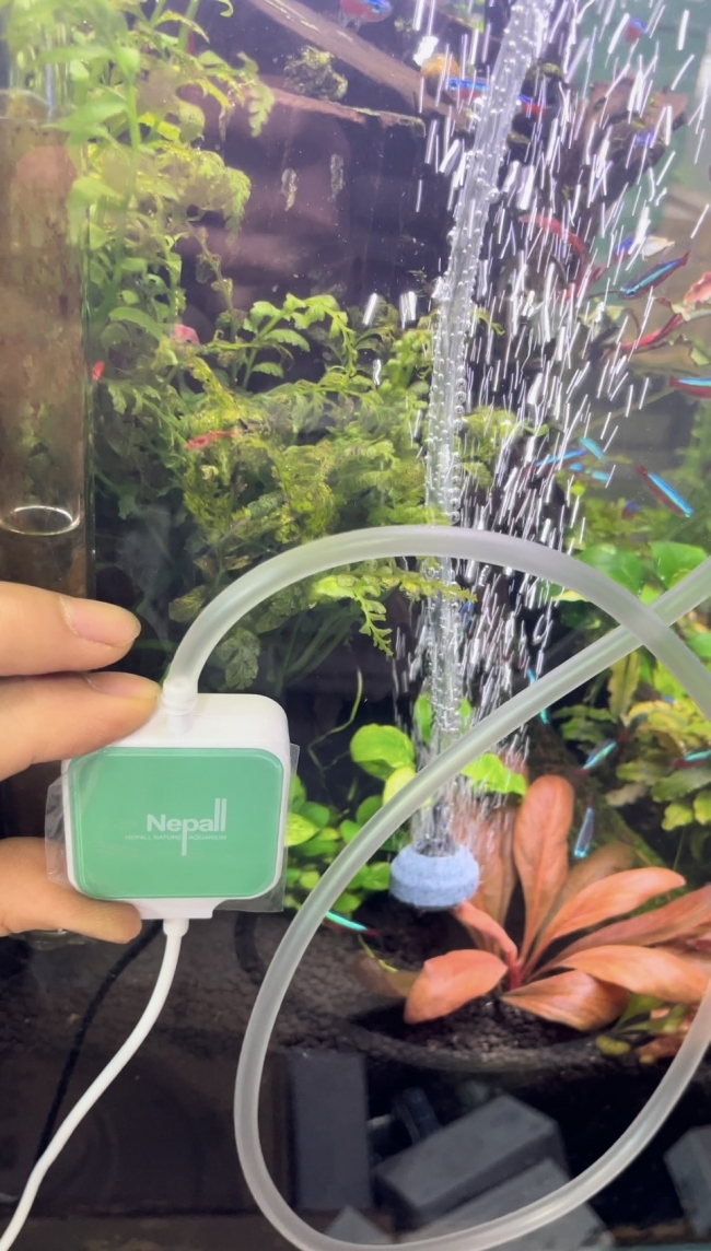 Máy Sủi Siêu Êm Nepal – Giải Pháp Oxy Mini Hoàn Hảo Cho Mọi Bể Cá Cảnh