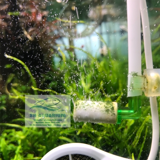 Sủi CO2 Up Aqua D531