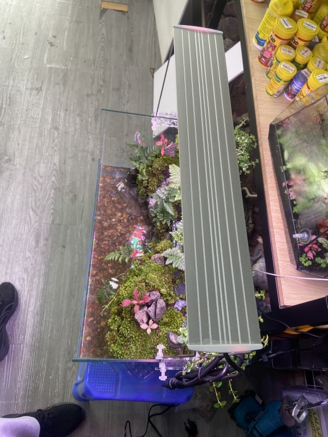 ĐÈN LED COCO WRGB R800