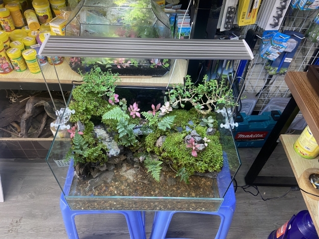 ĐÈN LED COCO WRGB R800