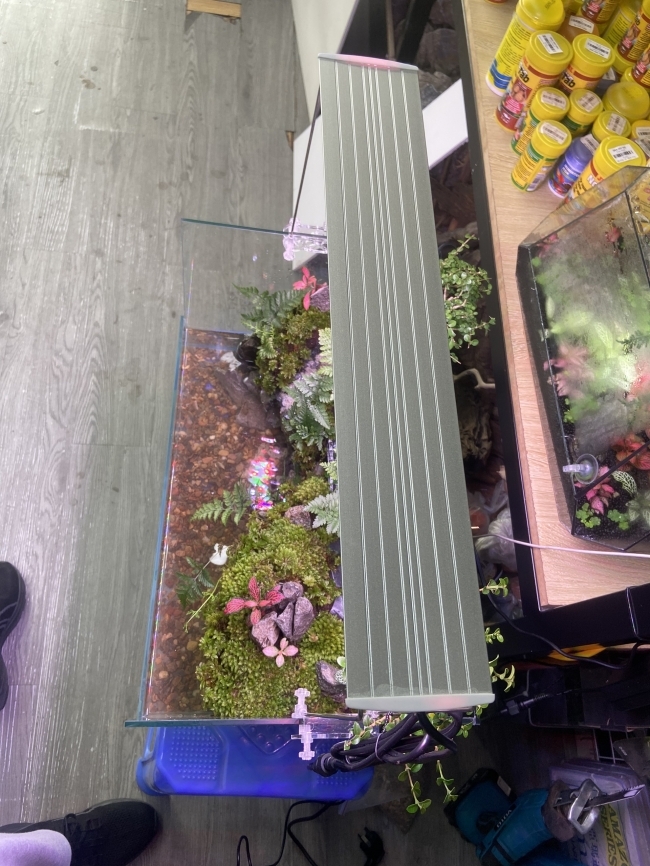 ĐÈN LED COCO WRGB R800