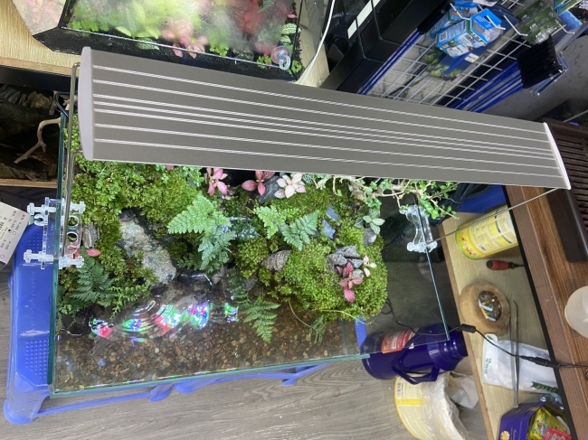 ĐÈN LED COCO WRGB R1200