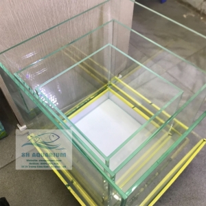BỂ CUBIC 30CM SIÊU TRONG