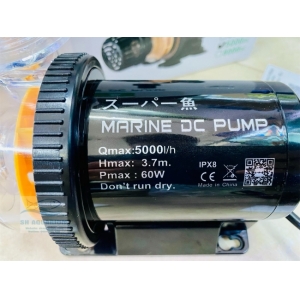 MÁY BƠM MARINE DC 5000