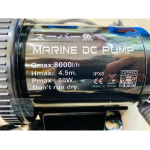 Máy Bơm Marine DC 8000