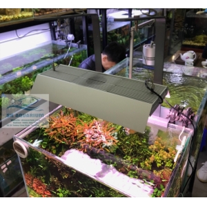 Đèn Led Chihiros RGB Vivid 2 Bản 10th