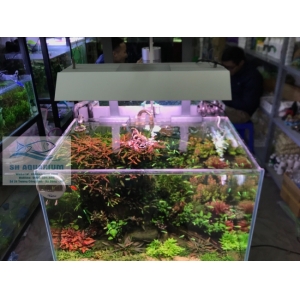 Tấm chắn sáng cho đèn Vivid 2