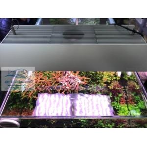 Tấm chắn sáng cho đèn Vivid 2