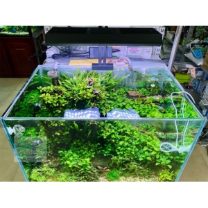 Đèn Led RGB Chihiros Vivid Mini