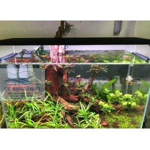 ĐÈN CHIHIROS WRGB2 90CM
