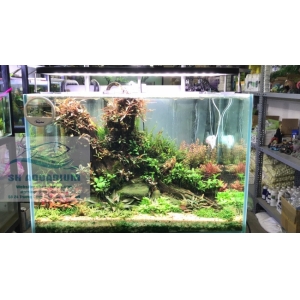 Đèn Chihiros WRGB2 60cm