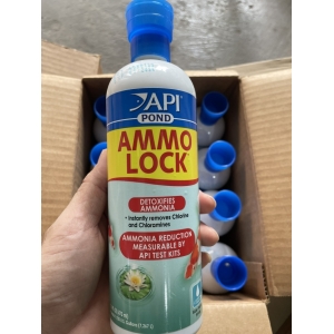 Sản phẩm AMMO-LOCK POND của API khử Amoniac trong bể cá ngay tức thì, giúp cá không bị ngộ độc Amoniac