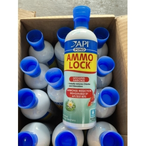 Sản phẩm AMMO-LOCK POND của API khử Amoniac trong bể cá ngay tức thì, giúp cá không bị ngộ độc Amoniac