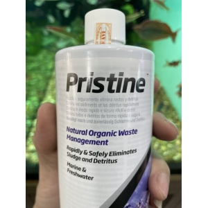 Vi sinh dị dưỡng Seachem Pristine phân hủy độc tố, hữu cơ dư thừa 500ml