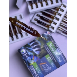 Prodibio Ammo Stop - khử độc, khử ammo cấp tốc trong nước bể