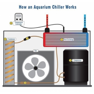 Máy làm mát nước Chiller Hailea HS 90A