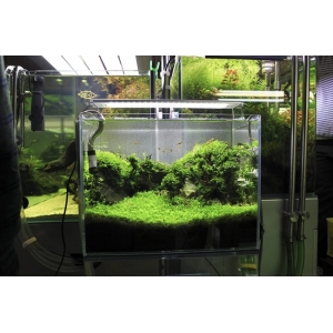 ĐÈN LED CHIHIROS A SERIA 601