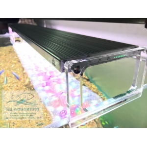 Đèn Led Week Phoenix WRGB 90Cm