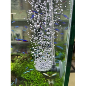 Máy sủi Oxy Dophin AP1501