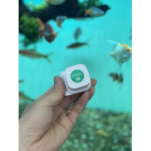 Nam châm lau bể cho bể cá sobo mini size S-M-L