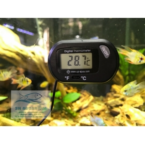 Nhiệt kế điện tử Up Aqua A-931