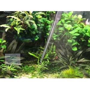 Nhíp Trồng Cây Up Aqua D606