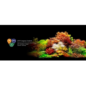 Phân nền Nhật Bản Master Soil 8lit
