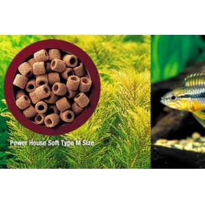 VẬT LIỆU LỌC CAO CẤP POWER HOUSE TYPE SOFT SIZE L 1LIT