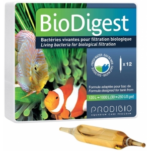 Vi sinh Pháp Prodibio BioDigest (ống)