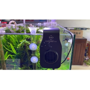 Quạt Làm Mát Up Aqua Có đầu dò nhiệt