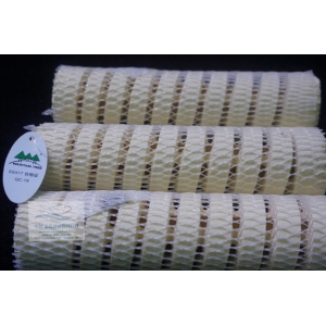 Sứ Xoắn Mountain Tree Lotus  Bacteria House