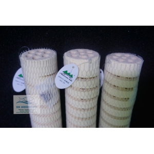 Sứ Xoắn Mountain Tree Lotus  Bacteria House