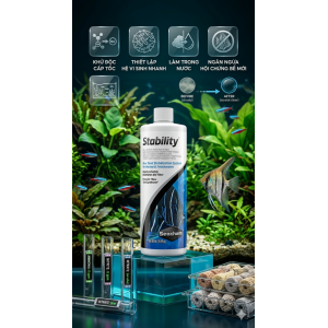 Seachem Stability 100ml Vi sinh  làm trong nước, khử tanh hôi