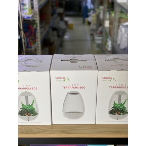 Bộ sản phẩm Tetarium Egg Chihiros