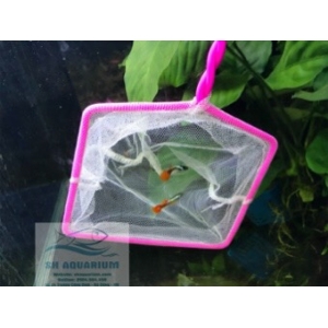 Vợt bắt cá