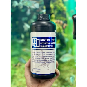 Vi sinh làm trong nước, khử tanh hôi Mayin Nitrifying Bacteria 900ml