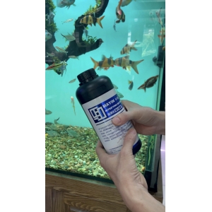 Vi sinh làm trong nước, khử tanh hôi Mayin Nitrifying Bacteria 900ml