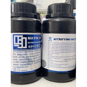 Vi sinh làm trong nước, khử tanh hôi Mayin Nitrifying Bacteria 900ml