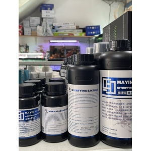 Vi sinh làm trong nước, khử tanh hôi Mayin Nitrifying Bacteria 900ml