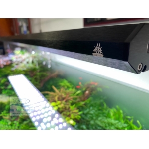 ĐÈN WEEK P600 PRO