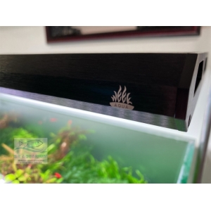 ĐÈN WEEK P600 PRO