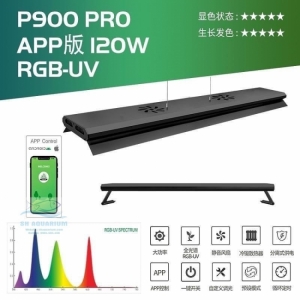 ĐÈN WEEK P600 PRO