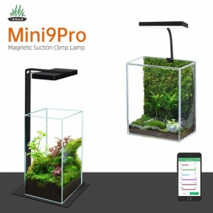 Đèn Week Mini9 Pro RGB+UV