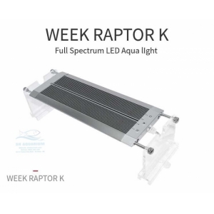 ĐÈN LED WEEK RAPTOR RGB D45CM
