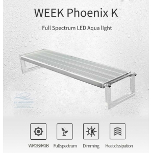 Đèn Led Week Phoenix WRGB 90Cm
