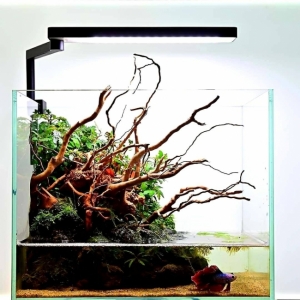 ĐÈN LED CHIHIROS C2