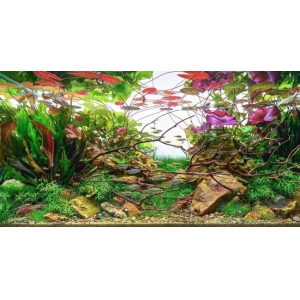 Đèn Chihiros WRGB  Pro 30cm