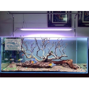 Đèn Led Cao cấp Flat One+ 60